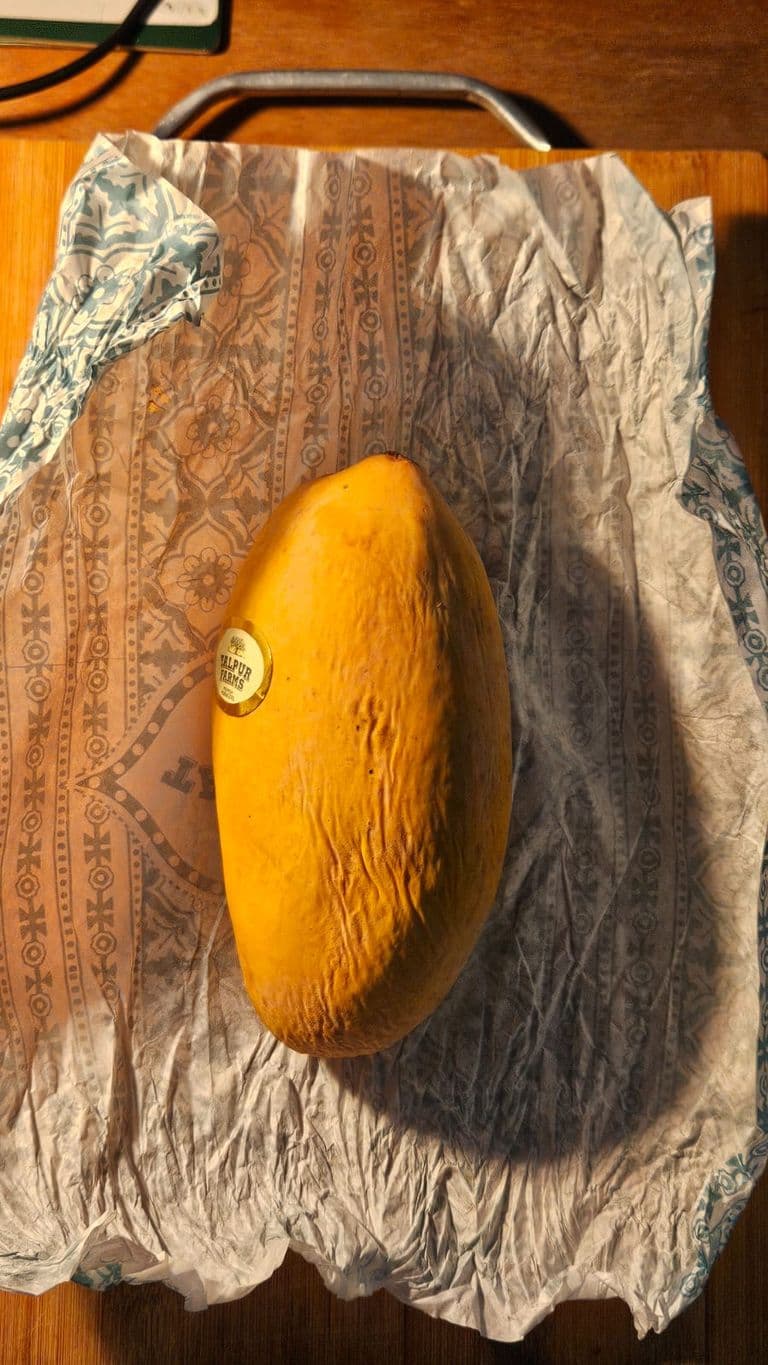 Creative Writing Assignment — IMG-20250616-WA0002