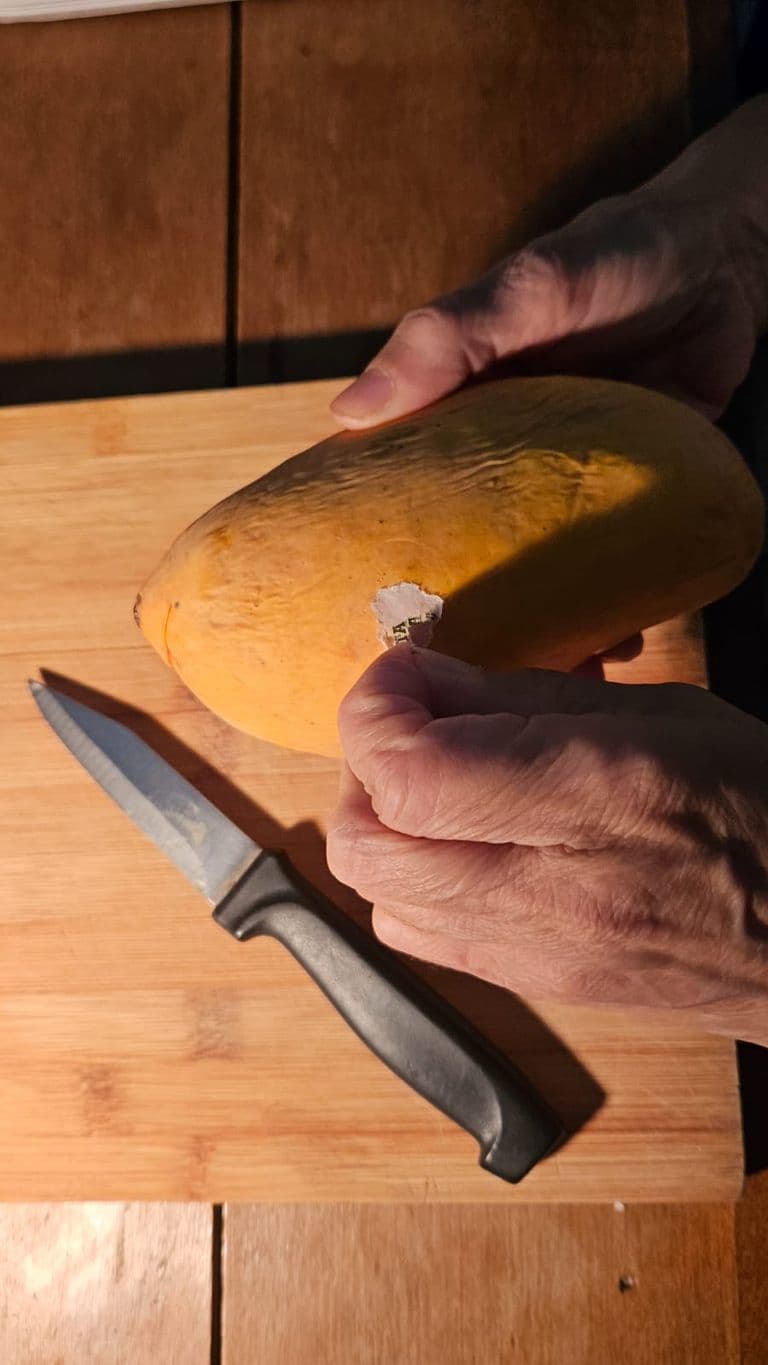 Creative Writing Assignment — IMG-20250616-WA0006