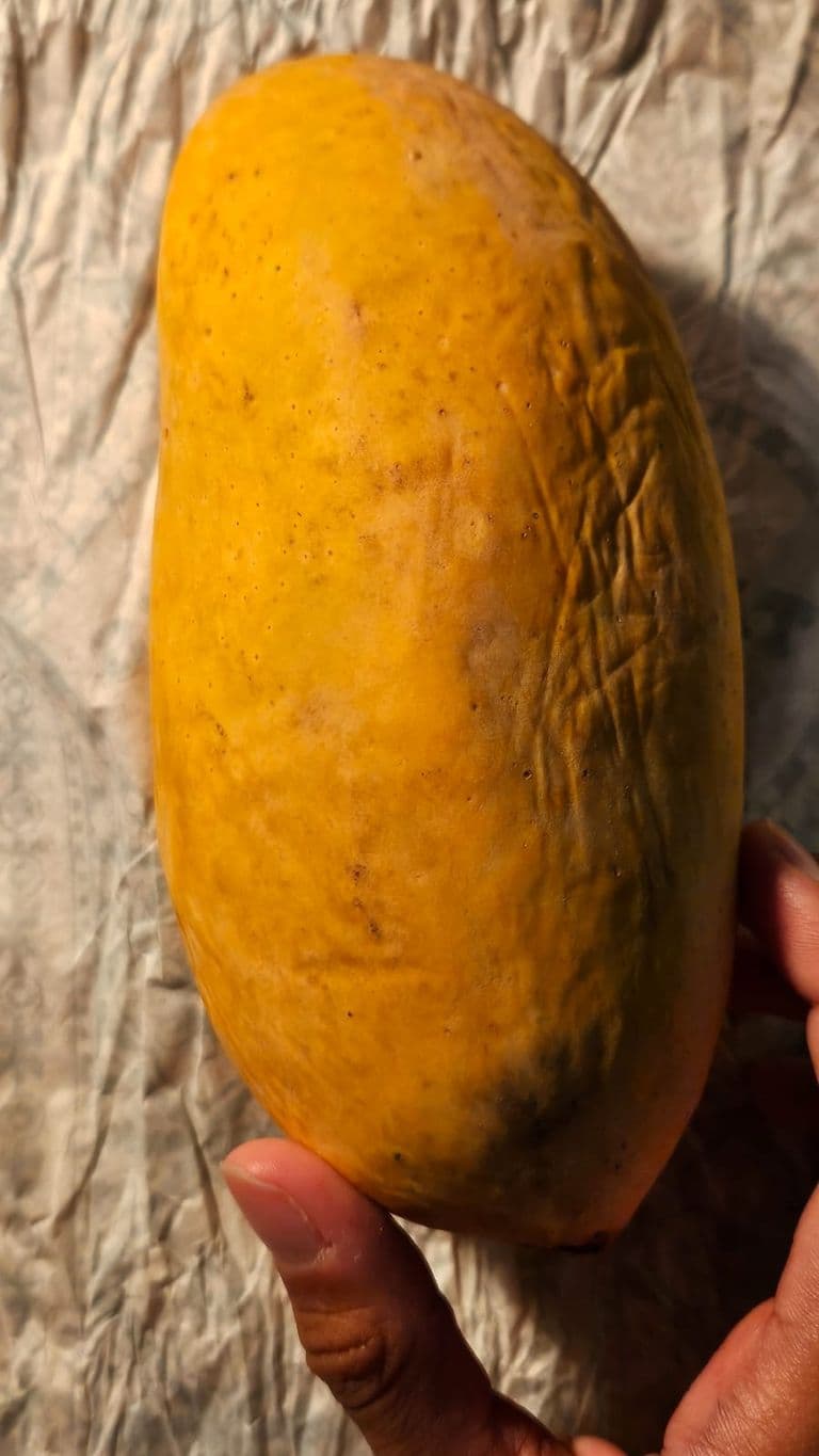 Creative Writing Assignment — IMG-20250616-WA0009