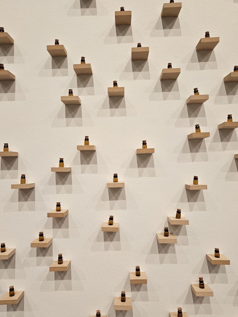 Chalo k Chalein — WhatsApp Image 2026-03-05 at 9.20.19 PM (1)