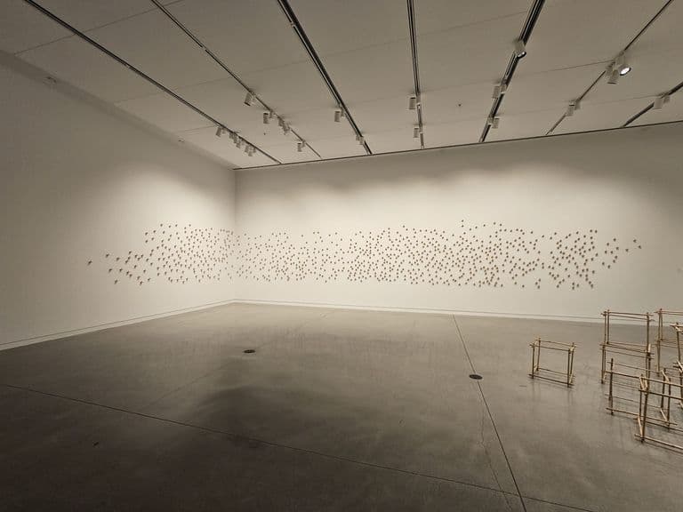 Chalo k Chalein — WhatsApp Image 2026-03-05 at 9.20.19 PM