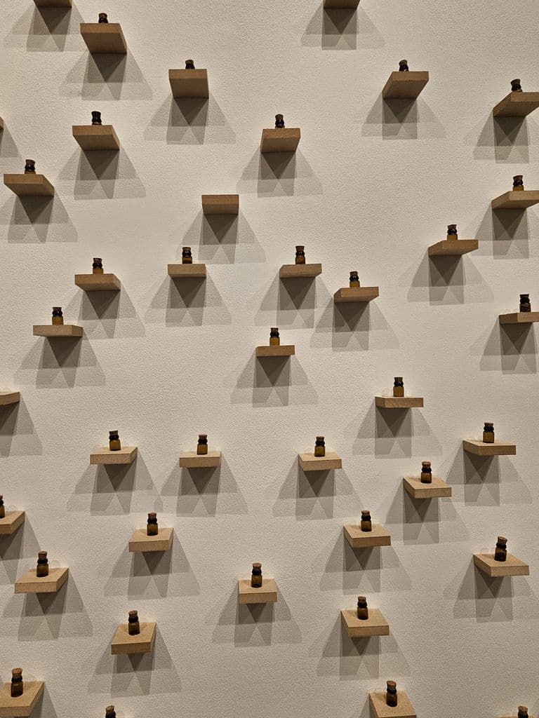 Chalo k Chalein — WhatsApp Image 2026-03-05 at 9.20.20 PM (3)