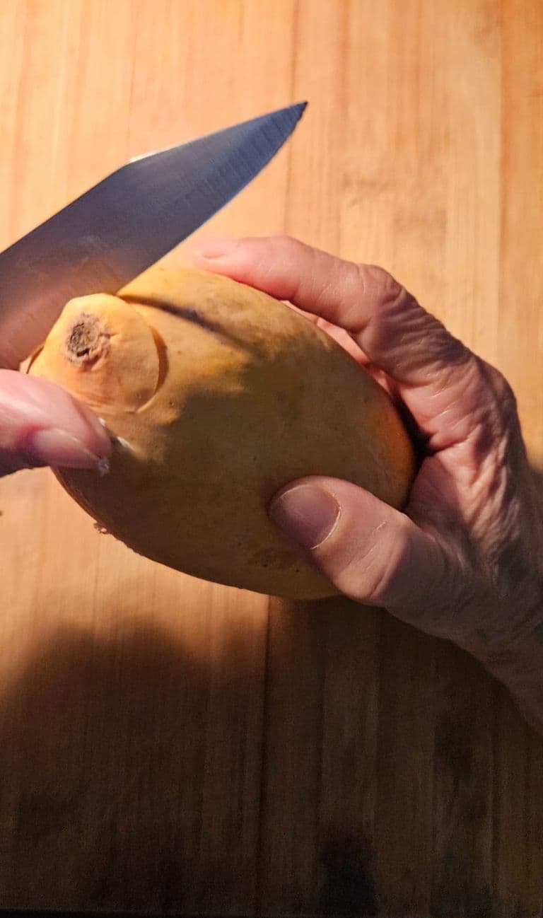 Mango