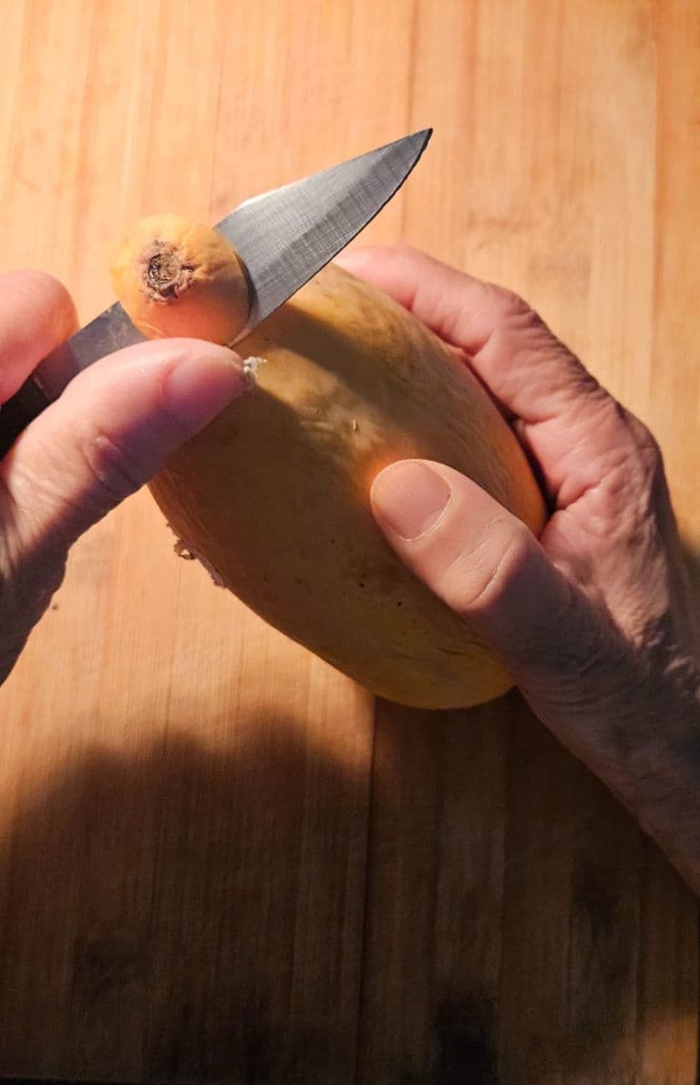 Mango